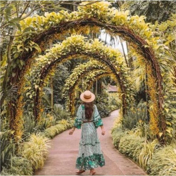 New Spell designs Winona gown ivy green dress - Picture 8 of 17